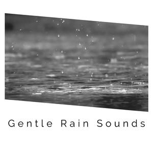 Asmr Rain Sounds
