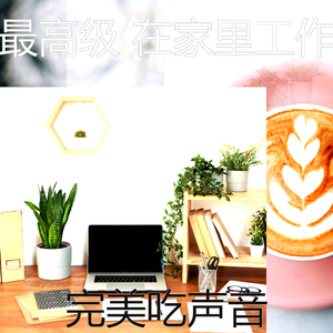 有魅力研究愿景