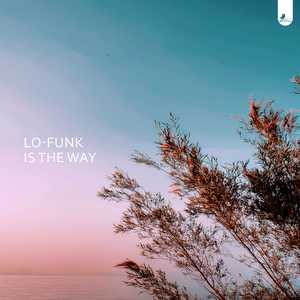Lofunk is the Way