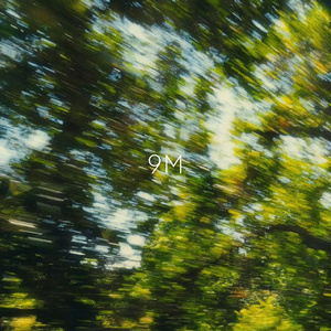 9M