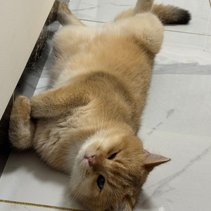 写给邓颖的歌 伴奏