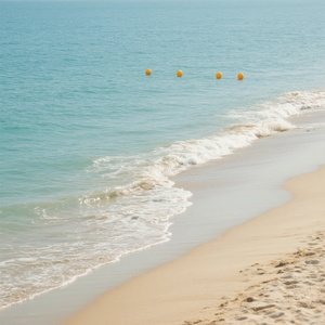 山高路远愿自由