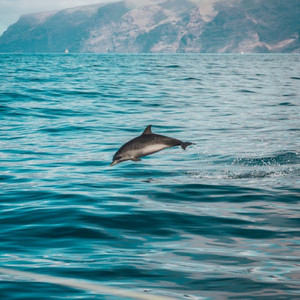 谷风（图书馆舒缓轻音乐）