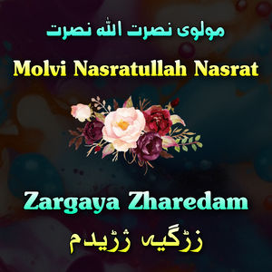 Da Watan Da Azadi Akher Dedan Wo