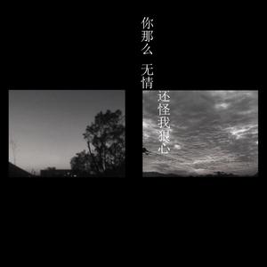 你那么无情还怪我狠心 (DJ小豪版)