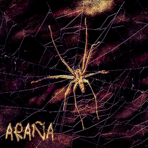 Araña