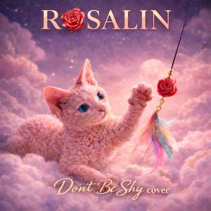 Don't Be Shy (Cat Version)