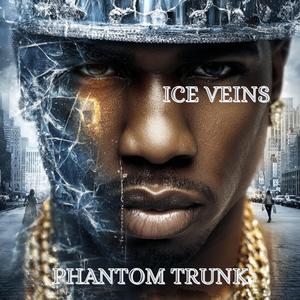 Ice Veins