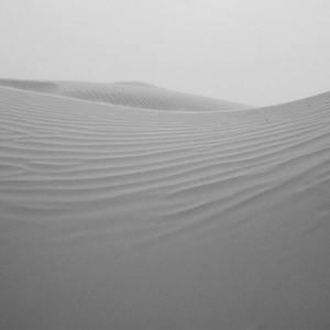 【FREE】Bitter Days