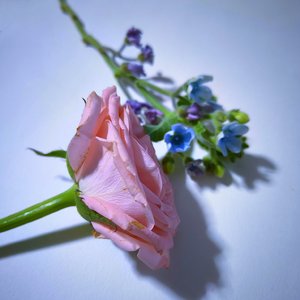 《北木南》 - 一ຼ身ຼ仙气এ⁵²º