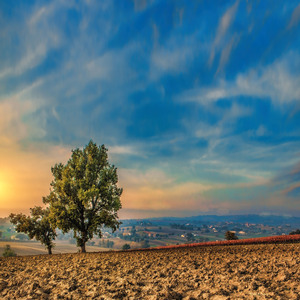 마음의 조급함을 내려놓고 수면 (자장가)