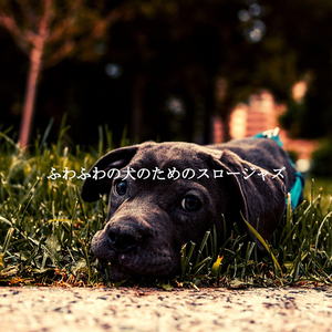 Playful (Music)