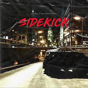 Sidekick