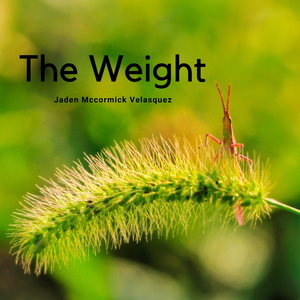 The Weight