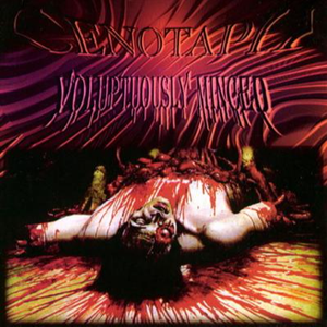 Different Dimensional Pervertation / Revenge