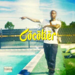 cocotier