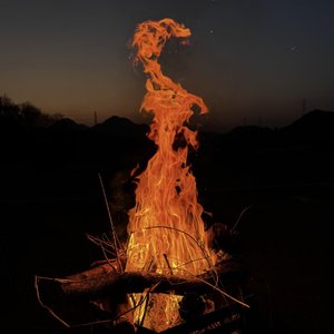 追逐钱与被爱的反思