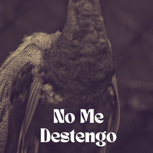 No Me Destengo