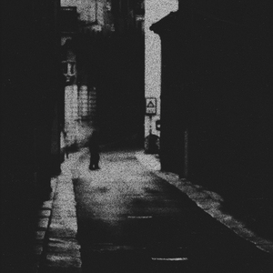 痛苦与欢笑并存，希望与绝望共生，可怜的命运终在我可