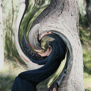 Conventionist