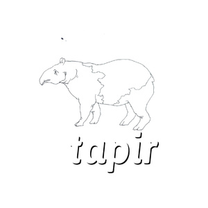 Tapir