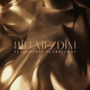 Bilemezdim