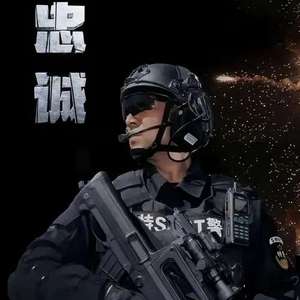 藏蓝勋章