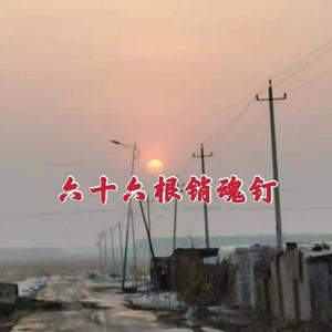 六十六根销魂钉（翻自 潇明）