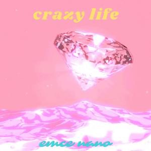 Crazy Life