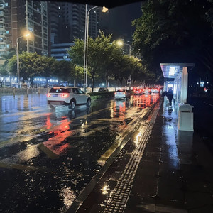 白山茶（降调版）