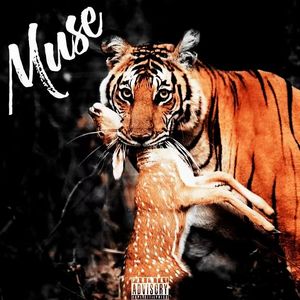 Muse
