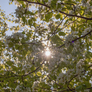 네 웃음엔 특별함이 있어