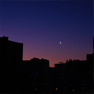 quiet nights