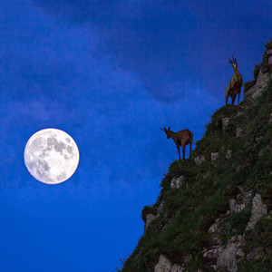 ওমর ফারুক বলেছিলেন দুর্ভিক্ষের বছরগুলো