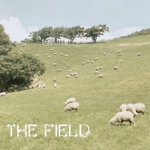 Field
