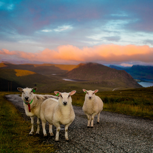 Whispering in the Morning (Locked in Syndrome)