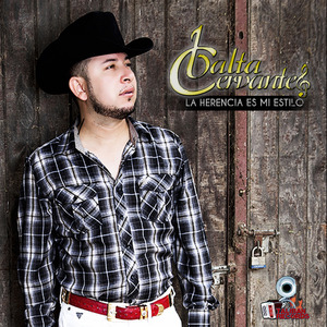 Carta De Precentacion