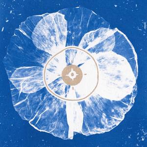 Tirando Piedras (feat. Rose Kordesii)