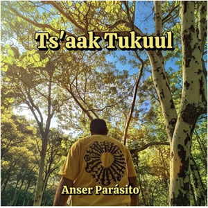 Ts'aak Tukuul