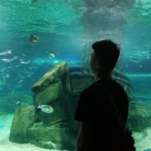 趁早（翻自 张宇）