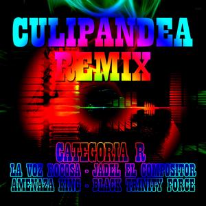 Culipandea Remix (feat. La Voz Rocosa, Jadel El Compositor, Amenaza King & Blacktf)