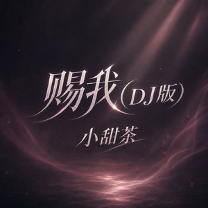 赐我(DJ版)