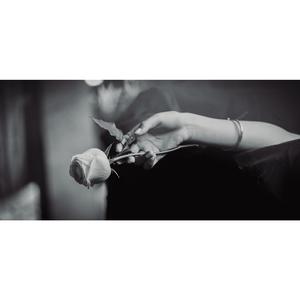 如果给我一次机会