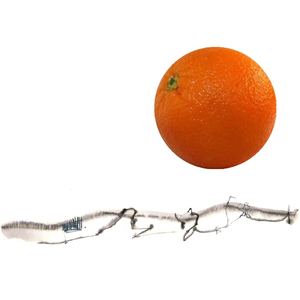 Miranda's Song (ZTT)