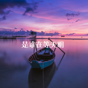 是谁在等天明