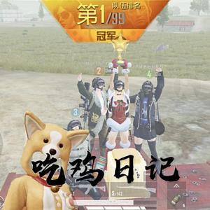 吃鸡日记