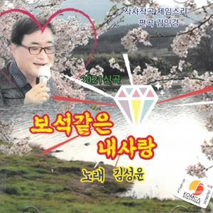 보석같은 내사랑