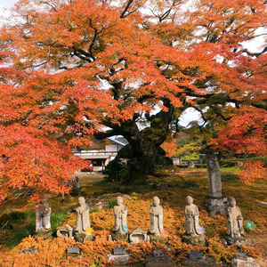 嚮岳楼(Kyo-Gaku-Ro)～秩父八番西善寺によせて～