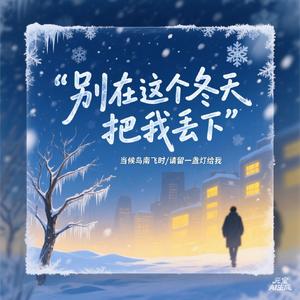 别在这个冬天把我丢下