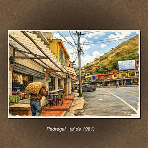 Pedregal